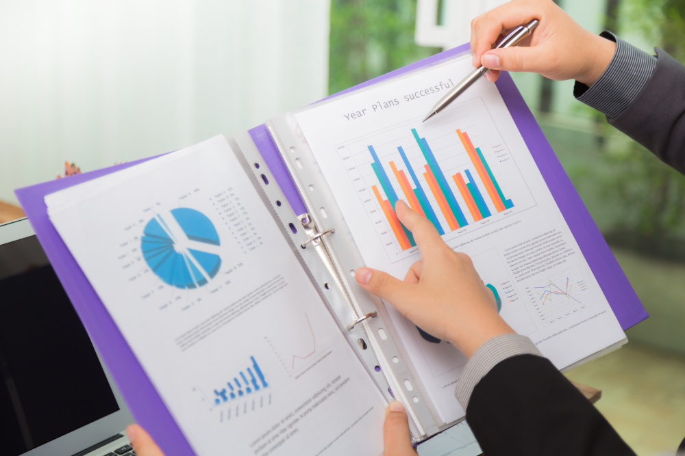 Consolidated financial report and accountant’s audit report